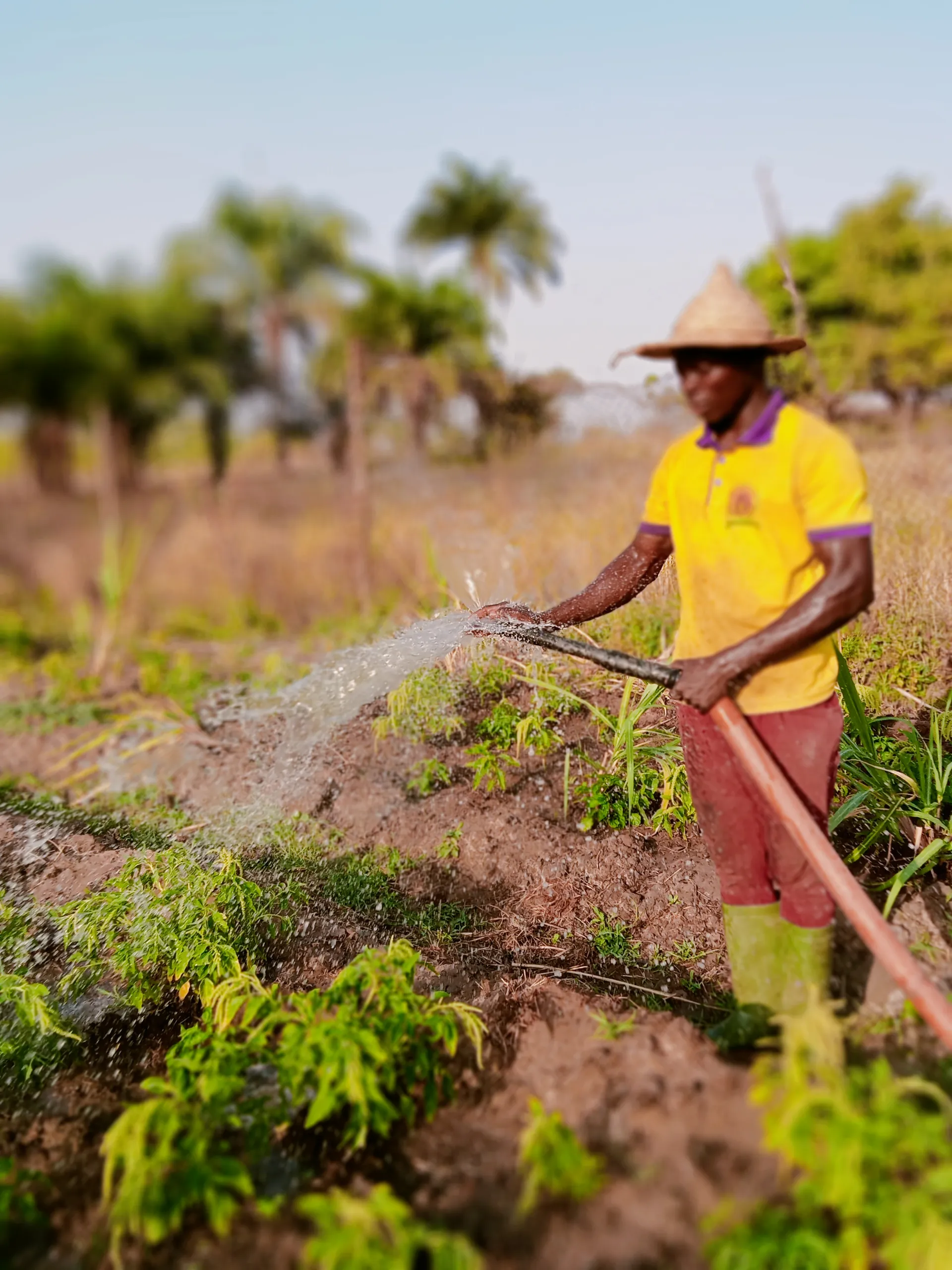 Arrosage et suivi minutieux des jeunes plants par nos équipes