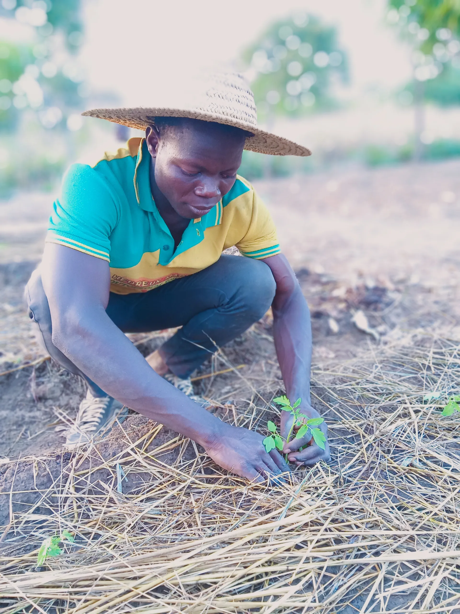 Agriculteur plantant avec soin une jeune pousse en terre à Babayaka, Bénin