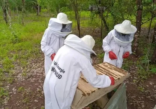 Apiculteurs en tenue de protection autour d'une ruche - ISSO SINNA