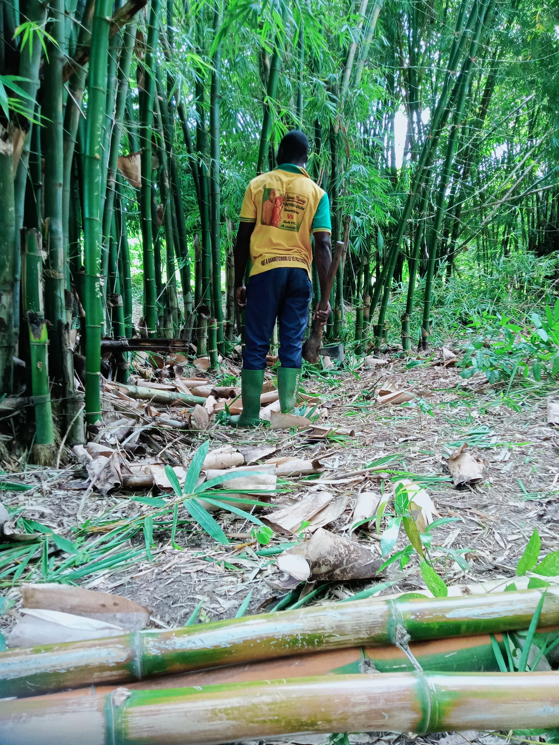 Apiculture : ISSO SINNA, Babayaka, Bénin