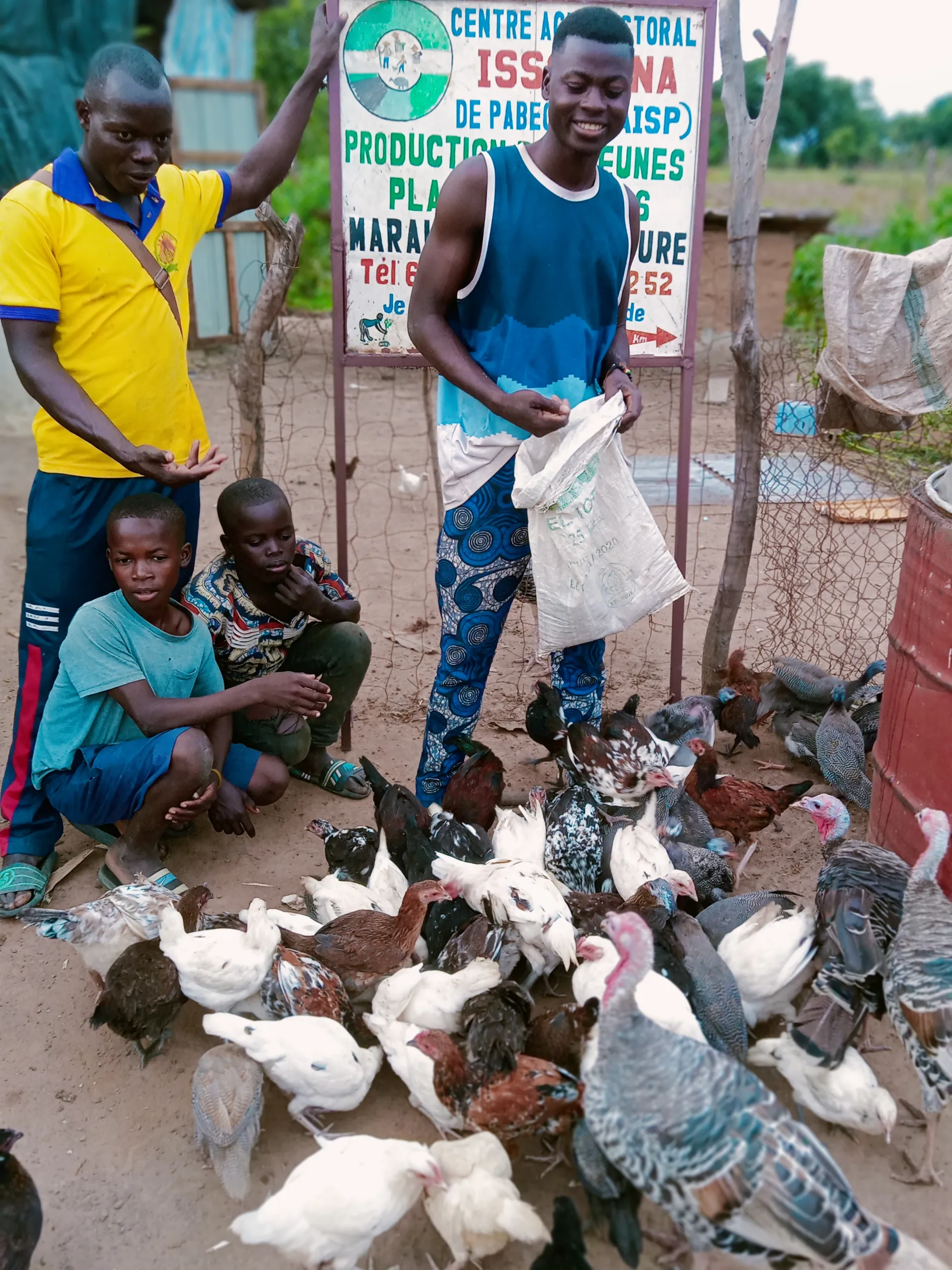 Volaille : ISSO SINNA, Babayaka, Bénin
